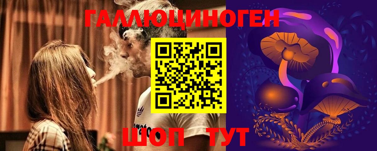 Кохма  Галлюциногенные грибы Psilocybe  Вход с VPN 